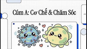 Bên Trong Chiếc Mũi Khi Bạn Bị Cúm A Điều Gì Đang Thật Sự Xảy Ra?