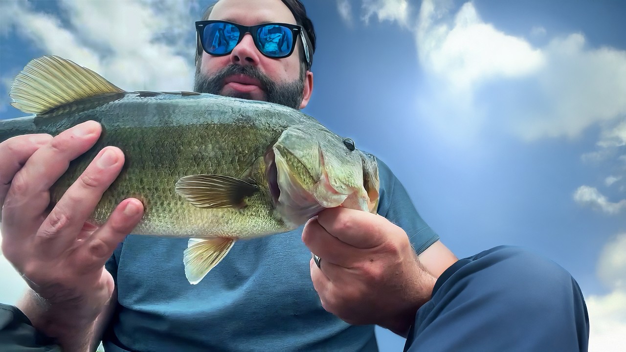 Bass Fishing 101