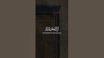فتبسم ضاحكا من قولها وقال رب أوزعني أن أشكر نعمتك | سورة النمل | القارئ بلال دربالي