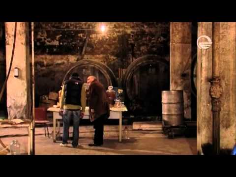 ღვინის გზა - სერია 46