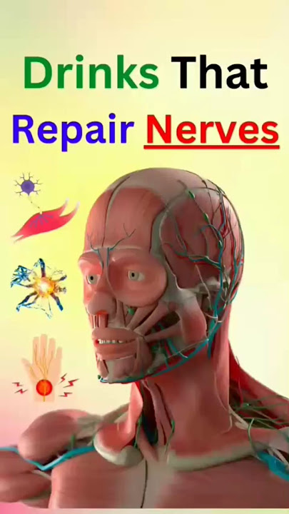 Drinks That Repair Nerves