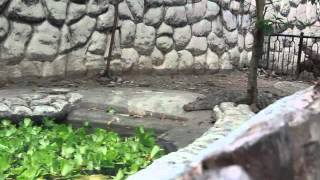 Envi Sci38