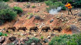 Hunting Wild Boar -Season :2026 || -KEMISSET -  -AMODIATION ASSADAKA  - PART 7