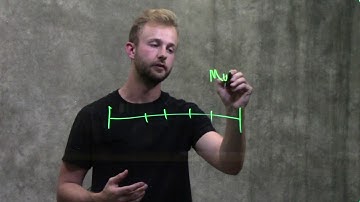 Environmental Effects on Gene Expression