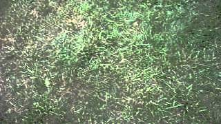 DSCF4283