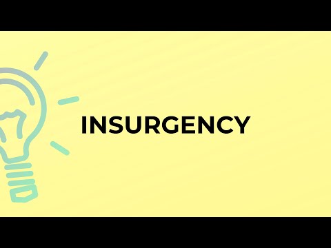 What is the meaning of the word INSURGENCY?