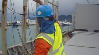 Preparation in LOG BULK