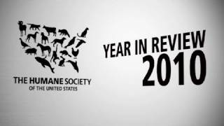 Year In Review 2010 - The Humane Society Of The United States