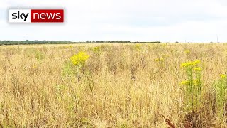 Govt announces £705m to secure UK borders