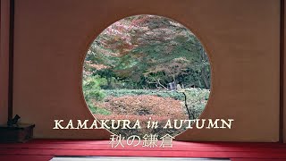 KAMAKURA in AUTUMN 秋の鎌倉