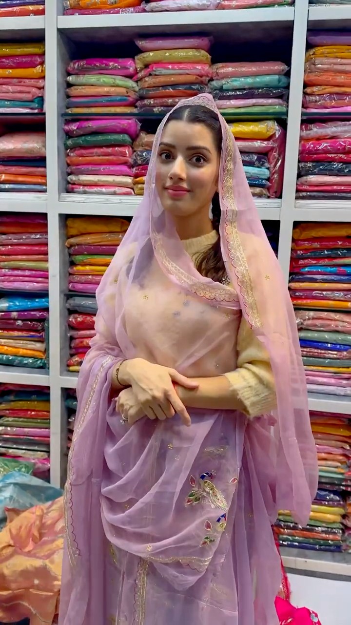 Rajesthani Poshak Lene Pahuchi jaipur ?? #neetubisht #minivlog #trendingonshorts