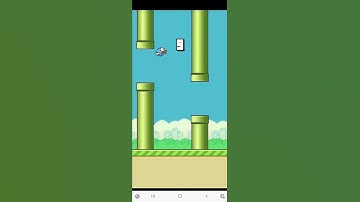 Flappy bird