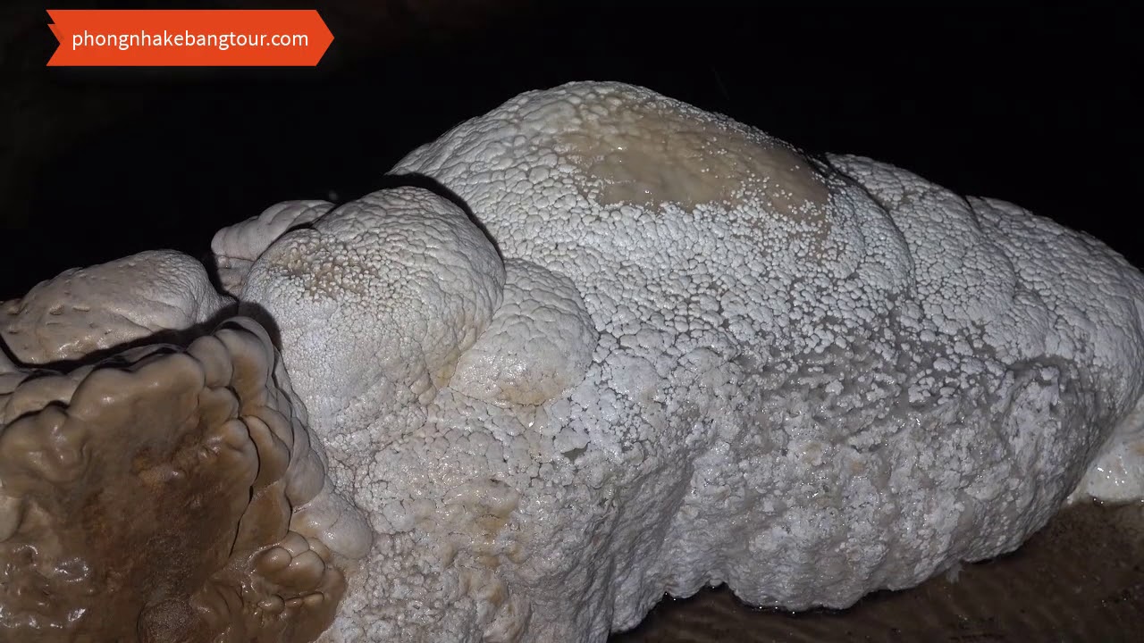 tour du lịch phong nha kẻ bàng 2022 New PHONG NHA KẺ BÀNG - PHONG NHA CAVE TOUR