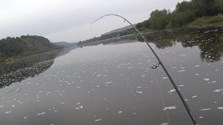 картинка: На Дністрі