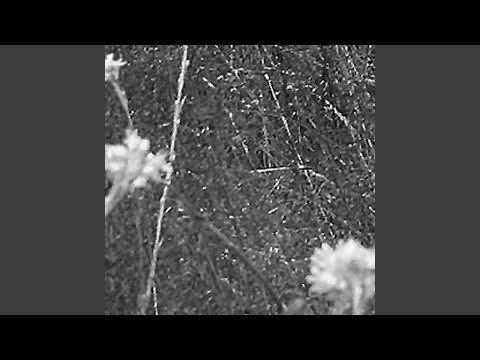 Chica And The Folder — Soufflé (Sonja Moonear Dans Ma Casbah Mix)