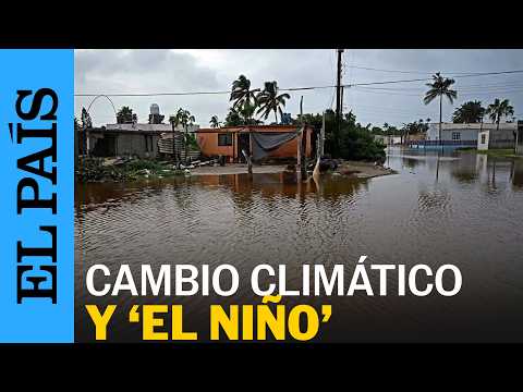 HURRICANE POLO: Climate change and EL NIÑO made the disaster worse | EL PAÍS