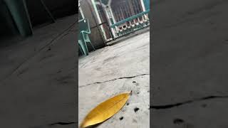 Download Lagu bangun dari kereta MP3