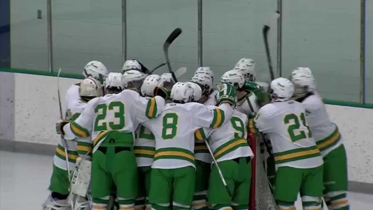 edina-vs-holy-family-boys-high-school-hockey-youtube