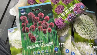 Аллиум или декоративный лук 🧅 обзор покупок для посадки 🟣 Allium bulbs haul +SUB