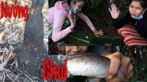 Câu cá lóc bằng vịt con cá chà bá đem về nướng chui bờ đê cực kì ngon