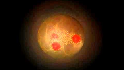 Higgs particle production 2.Proton - proton Collision in the ATLAS Experiment
