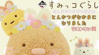 一番くじ すみっコぐらし～ふしぎなうさぎのおにわテーマ～ ラストワン賞のとんかつです(''ω'')ノ