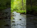 ULTIMATE Deep Sleep & Study Music Mix | Guaranteed Instant Stress Relief (Relaxing Music)