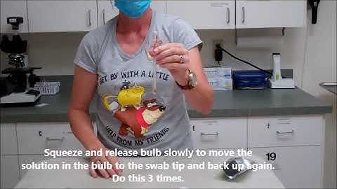 TALGV SNAP Test for Giardia and Parvo Procedure