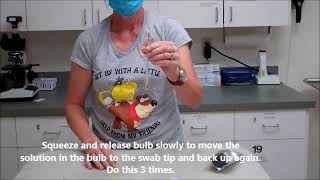 TALGV SNAP Test for Giardia and Parvo Procedure
