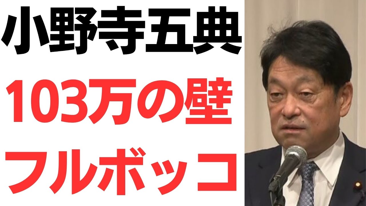小野寺五典氏の103万円の壁発言と所得税改革の論点｜動画内容を整理のサムネイル