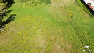 Forest Lake Real Estate Video