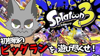 そのネコ、手段を選ばずビッグランの床を舐める