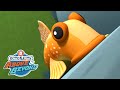 Octonauts: Above & Beyond - The Fish Who Could Climb, Land Adventures