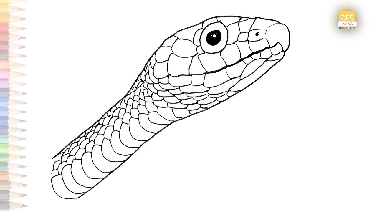 how to draw a realistic snake head