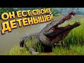 ДЕЙНОЗУХ РОДИТЕЛЬ НО ЕГО ДЕТЯМ КОНЕЦ ( The Isle EVRIMA )