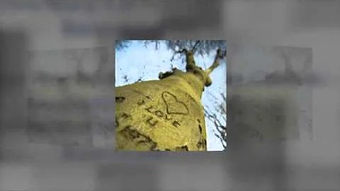 Copy of Matched Book Trailer