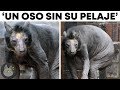 10 Curiosidades Compartidas Por Mis Suscriptores | Parte 4