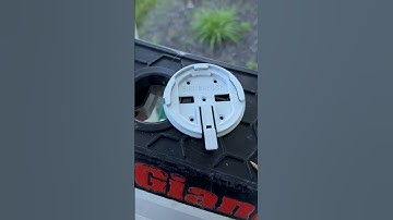 How to keep barn swallows away.  #mudswallows #barnswallow #optigel #pestcontrol #wildlife