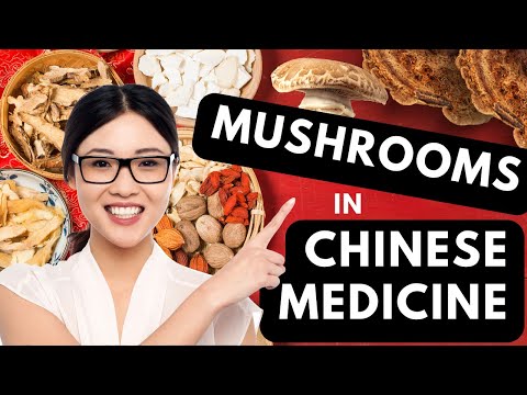 Video: Chinese mushrooms. Chinese mushrooms in medicine and cooking