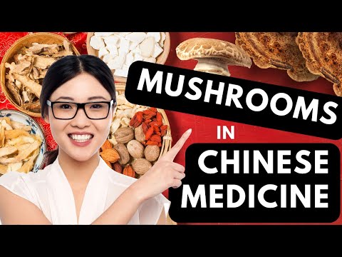 Chinese Mushroom Benefits