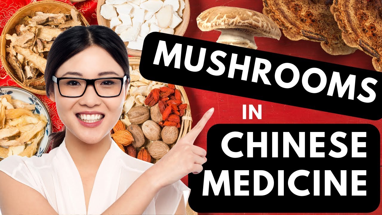 Mushrooms in Traditional Chinese Medicine - SECRETS REVEALED! - YouTube