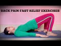 Back pain relief exercises  back pain exercises for home       with dr arunapt