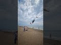 Prodejce létající DRAKŮ na 🇮🇹 🪁 Italské pláži v Bibione Drakyjáda #shorts #shortsvideo #video