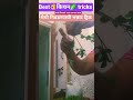 मेथी  पटकन कशी निवडावी🌿| Kitchen Trick Marathi | Methi Cleaning Hack#MethiBhaji#KitchenTipsMarathi