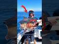 The man caught a big fish with a spear. #youtubeshorts