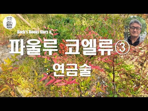 산문 3 - 파울루 코엘류 ⓷:   연금술과 코엘류 작품 사이의 관계는 무엇인가?