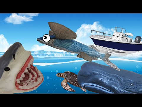 Flying fish's ocean journey - watch out for whales and sharks!