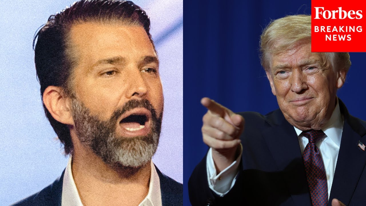 Donald Trump Jr: Midterms Could Ensure Trump Has 'A Two-Year Presidency, Not A Four-Year Presidency'