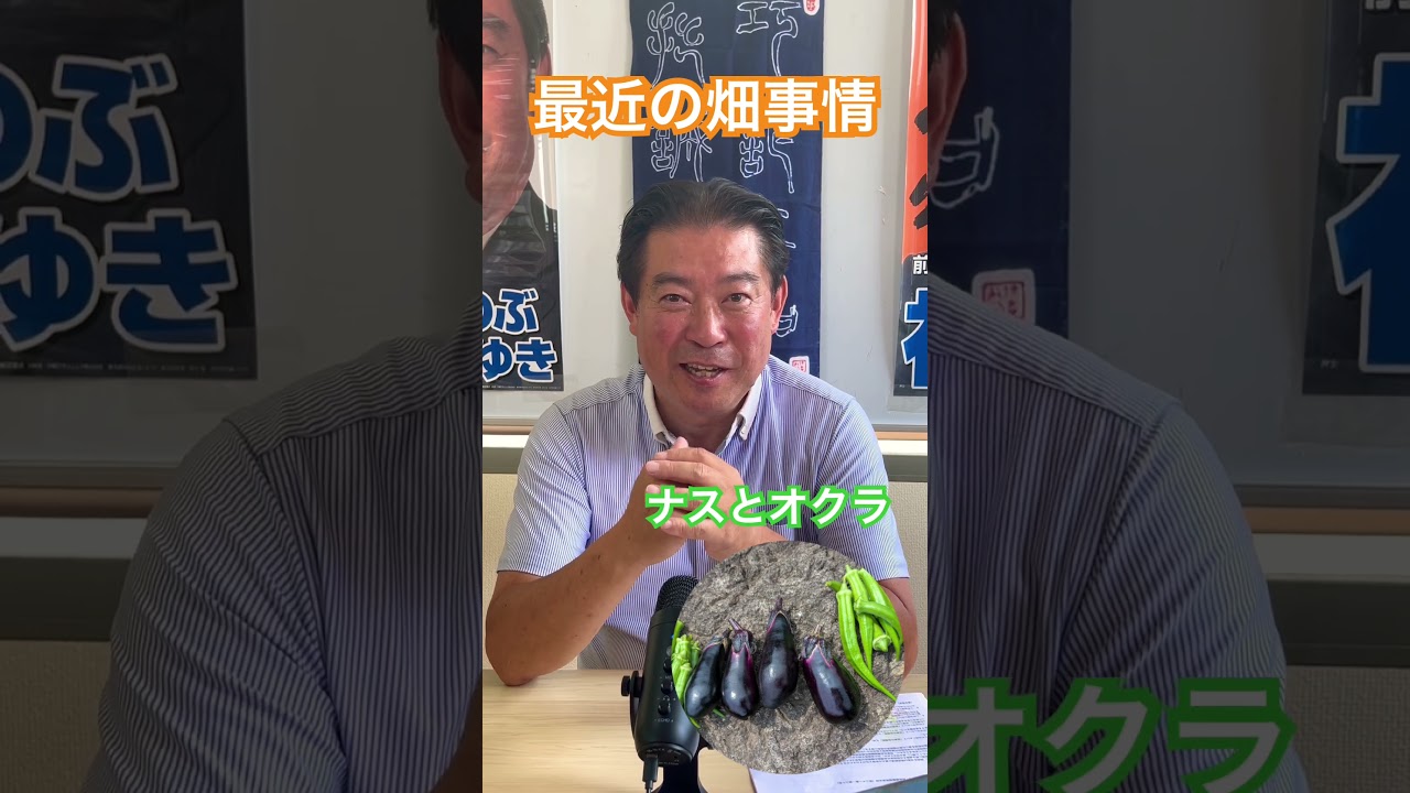 最近の我が家の畑事情！#夏