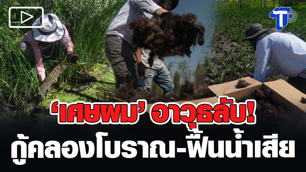 ‘เศษผม’ อาวุธลับ! กู้คลองโบราณ – ฟื้นน้ำเสีย